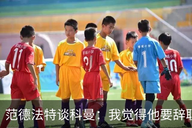 范德法特谈科曼：我觉得他要辞职了，妻子的健康状况也是一个原因