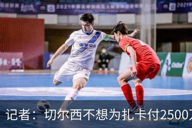 记者：切尔西不想为扎卡付2500万镑，球员已33岁且合同剩2年